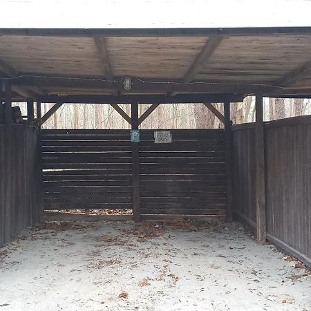 Ferienwohnung 살즈위더 외부 사진